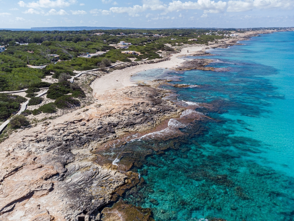 ¡Dale la bienvenida al verano 2024 en Formentera!