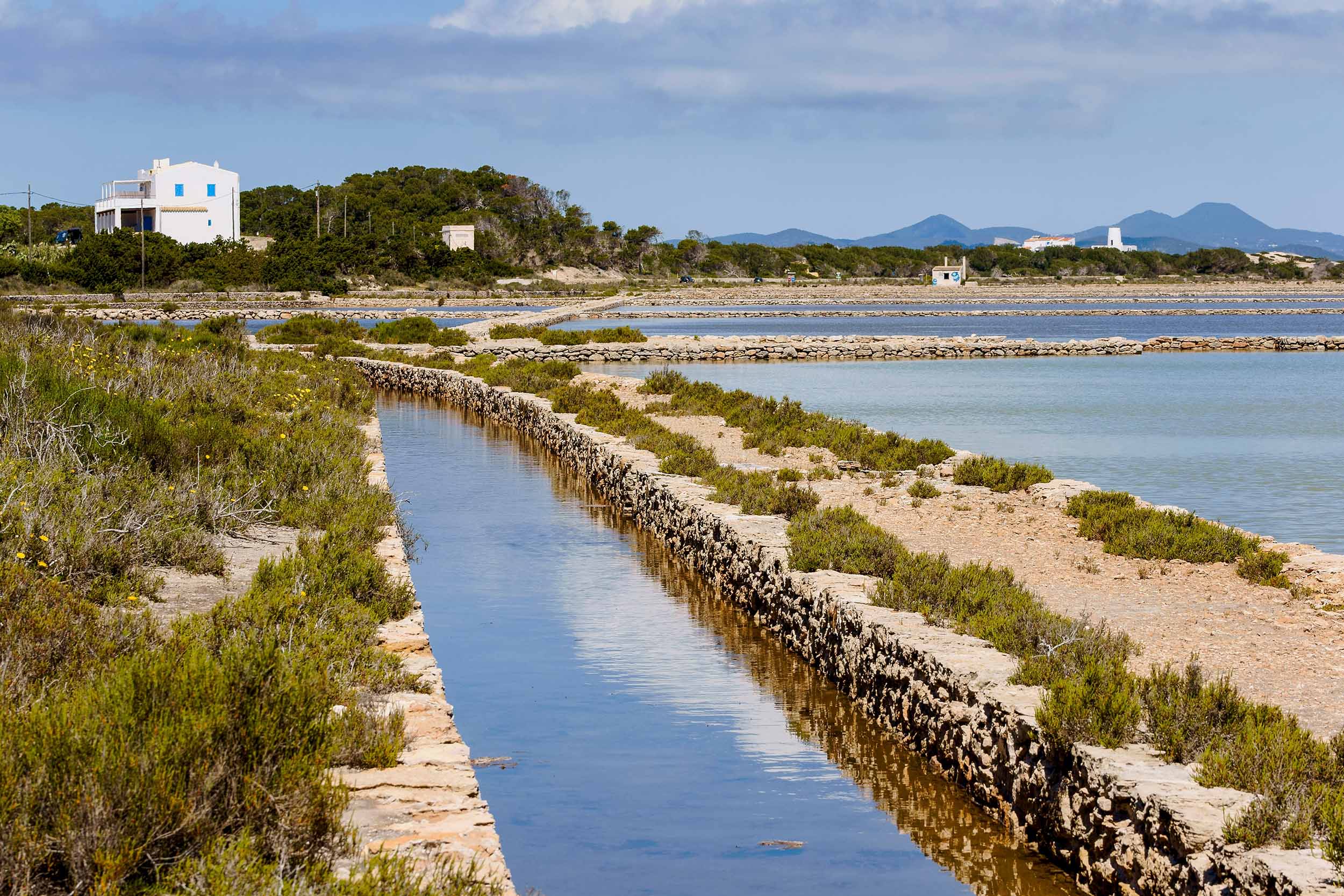 Atracciones naturales de Formentera que definen la isla